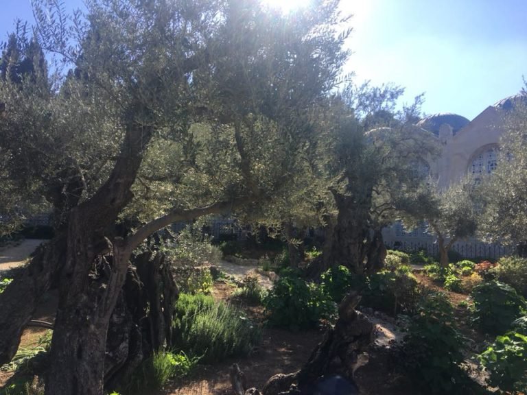 israel-8