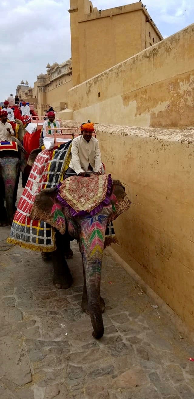 india11-1