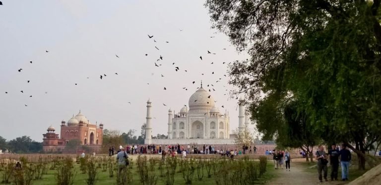 india17-1-2